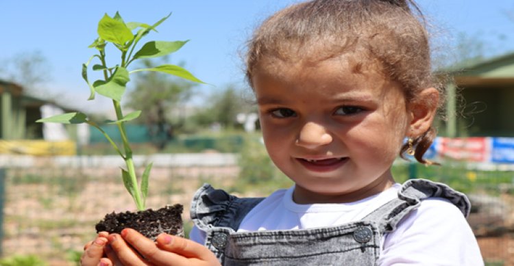 Şanlıurfa&#039;da İSOT Fidesi Dağıtıldı