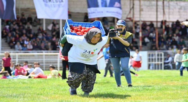 Kasalarla domatesi sırtlarında 40 metre taşıyıp finiş çizgisine ulaştılar