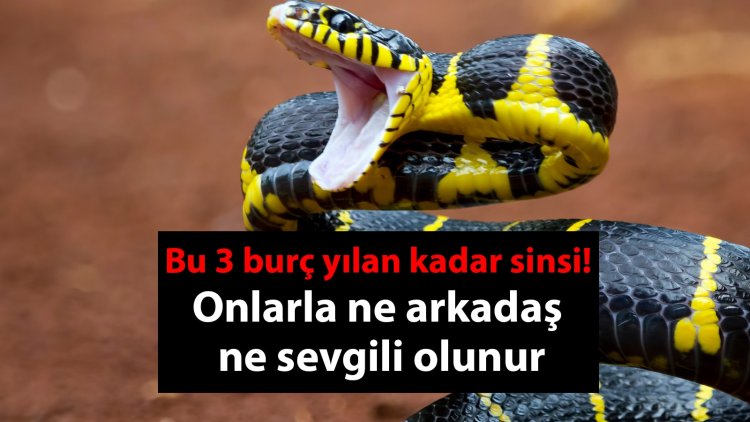 Bu 3 burç bir yılan kadar sinsi! Onlarla ne arkadaş ne de sevgili olunur