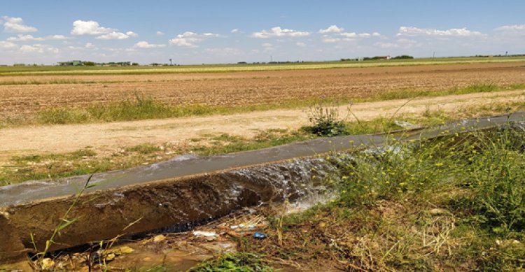 Bilinçsiz sulama ile Harran Ovası yok ediyor