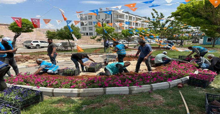 Eyyübiye&#039;da Çiçekler açıyor