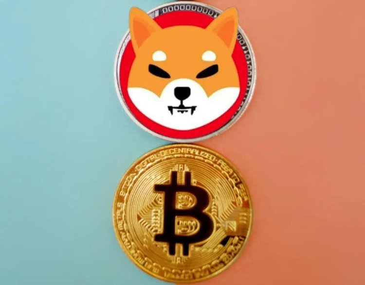 Bitcoin, SHIB’i Devirdi: Herkes Bu Altcoinin Peşinde!