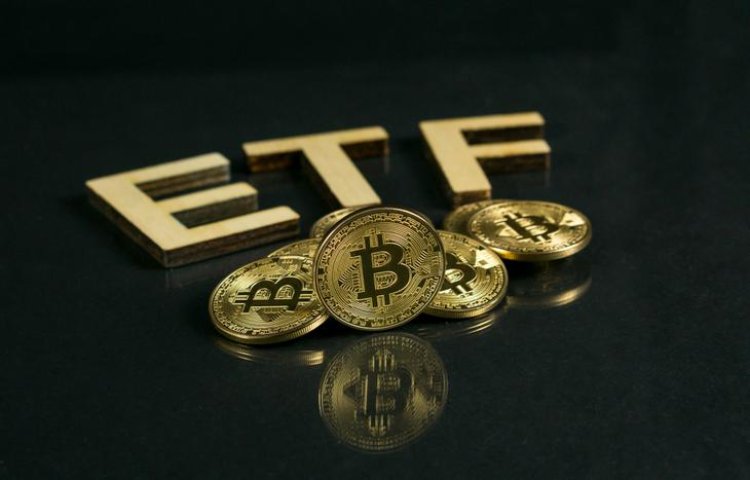 Bu Kripto Para ETF’si Şaşırttı: Yüzde 100 Getiri Sağladı!