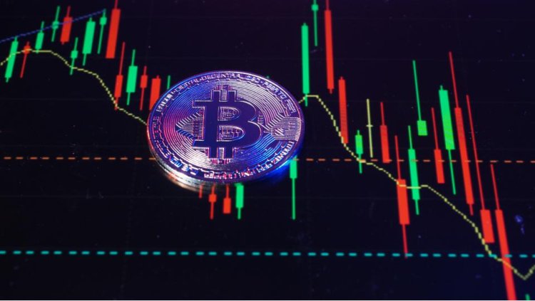 7 Usta Analist, Bitcoin Fiyatı İçin Son Tahminlerini Paylaştı!