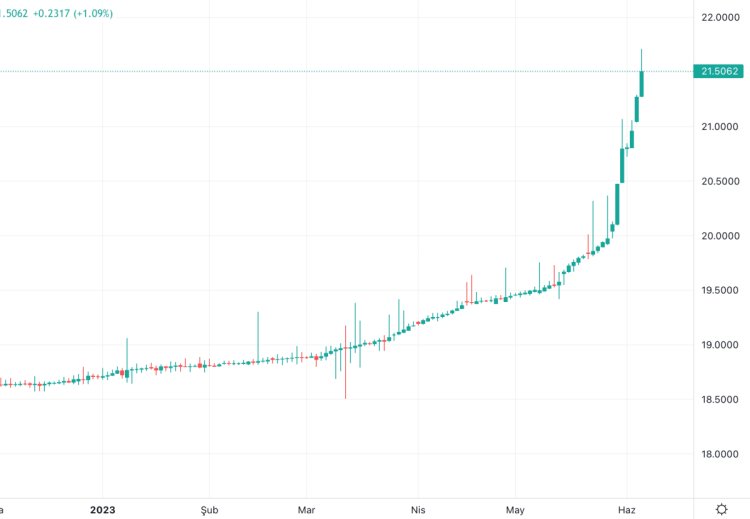 Dolar/TL hızla yükselirken Steve Hanke’den Tavsiye: Para Kurulu Gerek!