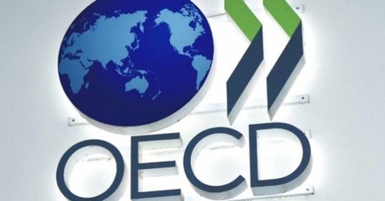 OECD, Türkiye Büyüme Tahminini Yükseltti