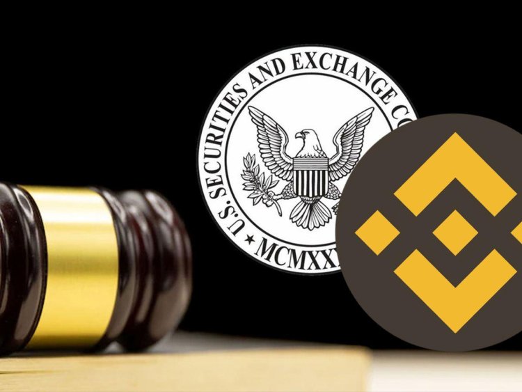 Binance SHIB ve Bu Altcoinleri Süresiz Olarak Durdurabilir!