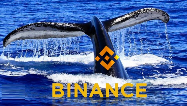 Dev Balina, Binance’e O Altcoin’den Döktü! Coin Düşüyor!