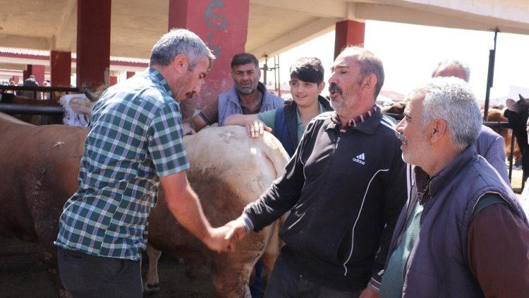 Büyük şehirlerin kurbanlığı Ağrı’dan