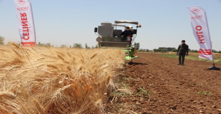 Şanlıurfa’da ıslah edilerek geliştirilen20 çeşit tohumun tanıtımı yapıldı