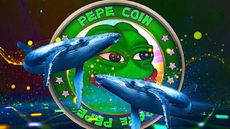 PEPE, USDT Boşaltan Balinalar Bu Coinlerin Peşinde!