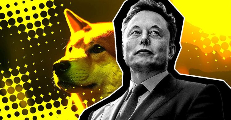 Ortaya Çıktı: Elon Musk-Dogecoin Davasında Büyük Kayıp!