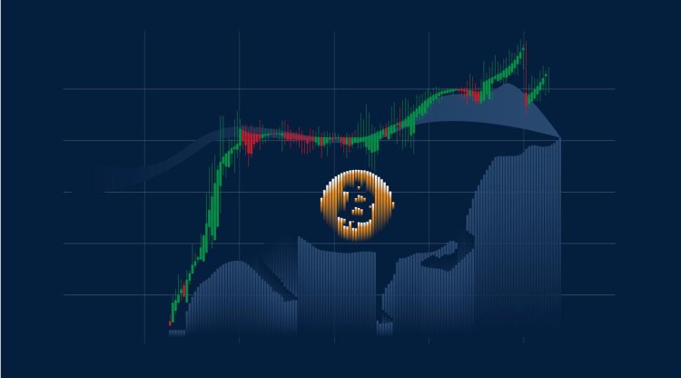 Sıradaki Bitcoin Boğa Döngüsünü Başlatacak 4 Şey!