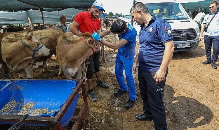 Buca Belediyesi’nde Kurban Bayramı mesaisi