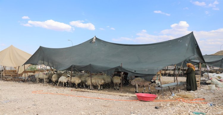 Karaköprü&#039;de Kurban Satış ve Kesim Yerleri Belirlendi