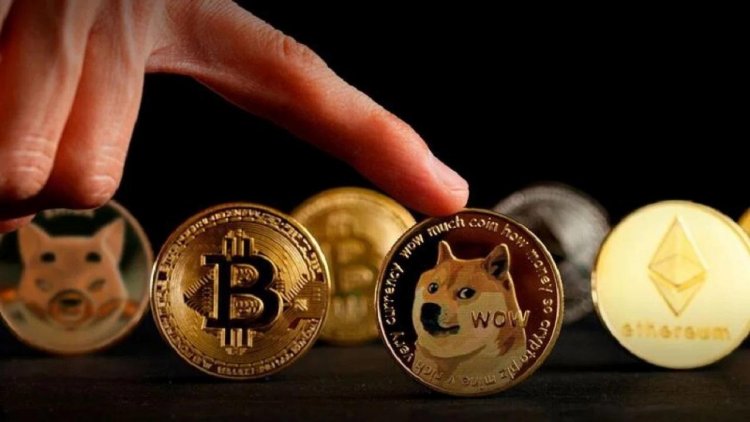 ABD’li Politikacı DOGE, BTC Değil! Bu Altcoini Övdü!