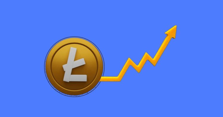 Halvinge 50 Gün Kalan Litecoin Fiyatında İlginç Olay!