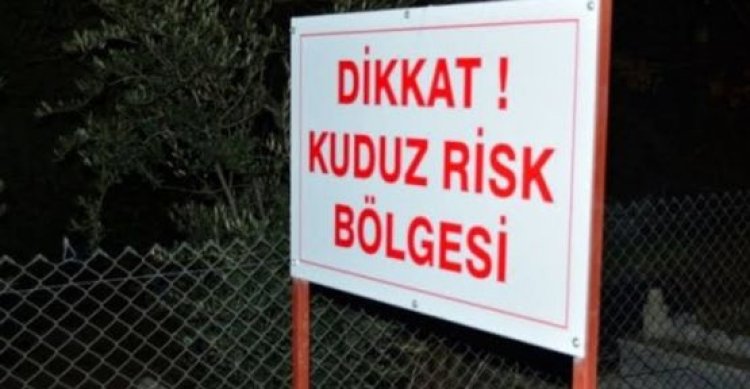 Siverek&#039;te kuduz vakası görüldü