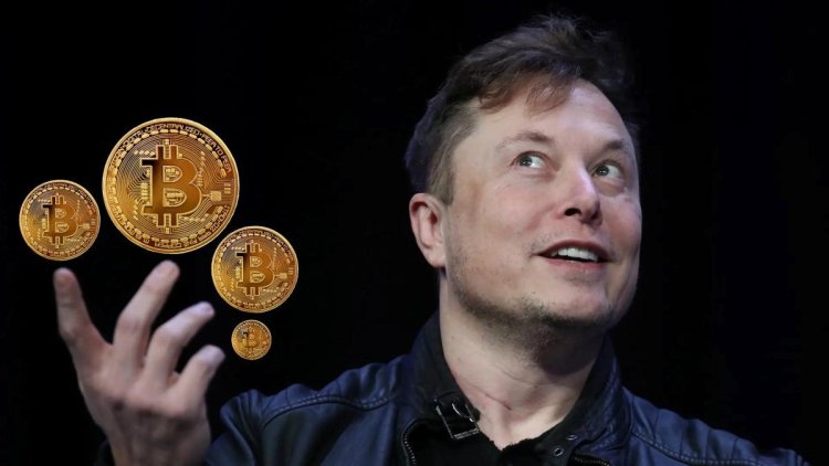 Elon Musk’ın Kripto Para Cüzdanı Aranıyor! Ödül de Var!