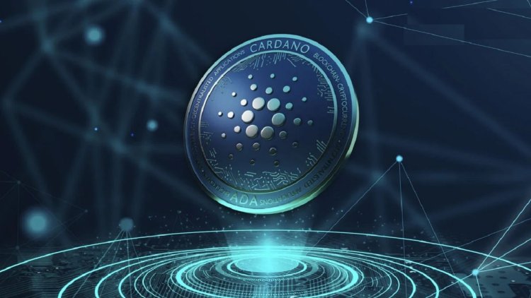 Cardano (ADA) Ekosistemindeki En Patlayıcı 3 Altcoin!