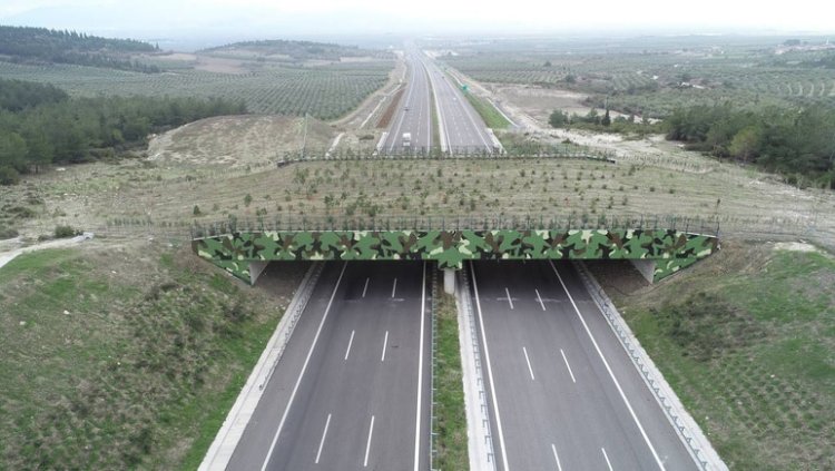 4 ekolojik köprümüzün yapım çalışmaları devam ediyor