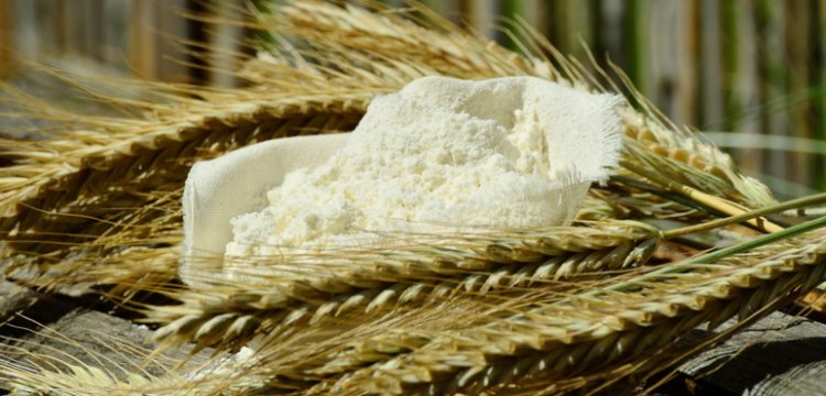 Buğday ve arpa alım fiyatlarında şoke eden gelişme! TOBB güncel buğday ve arpa alım fiyatları açıklandı