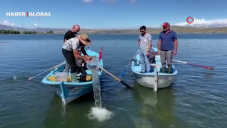 Çıldır’daki doğal yaşama 150 bin yavru sazan desteği