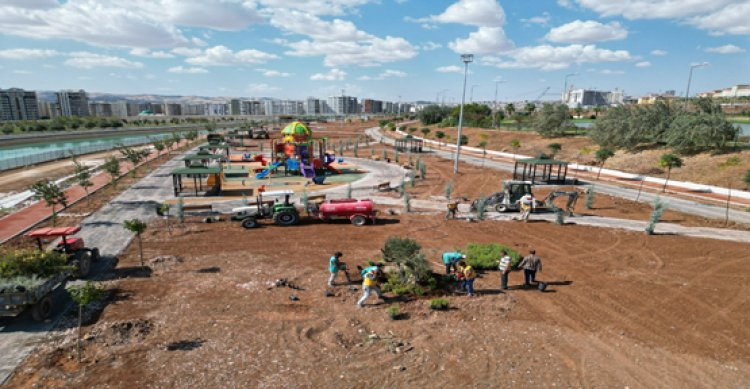 SUKAY Tıbbi Aromatik Parkı Şanlıurfa’ya çok yakışacak