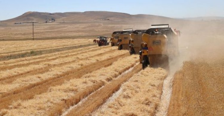 Tarımsal destekleme ödemesi bugün yapılacak