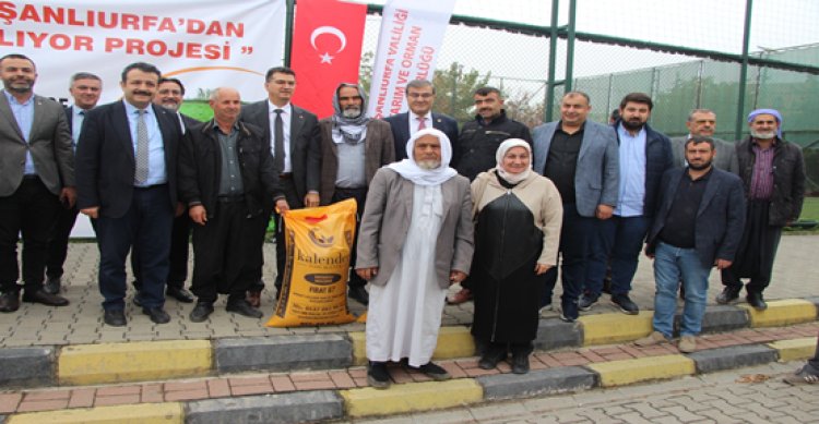 Şanlıurfa’da 297 çiftçiye Bin 200 bin ton mercimek tohumu dağıtıldı