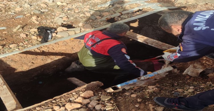 Akçakale’de merkep fosseptik çukuruna düştü