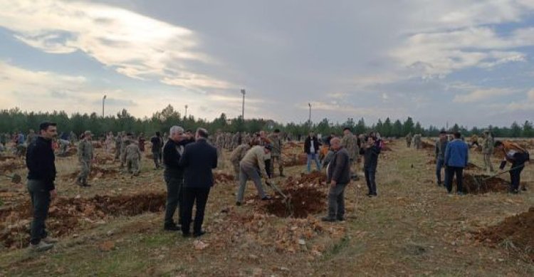 Şanlıurfa’da Mehmetçik öğrencilerle birlikte fidan dikti