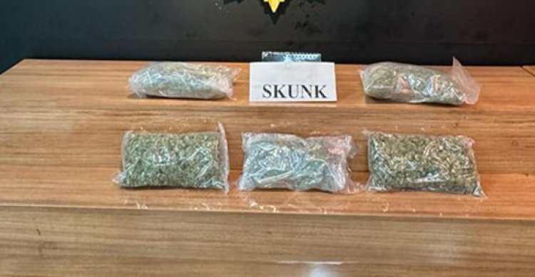 Şanlıurfa’da 2 kilo 650 gram skunk maddesi ele geçirildi