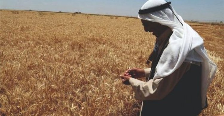 Çiftçilere müjde! Destek ödemeleri hesaplara yatıyor