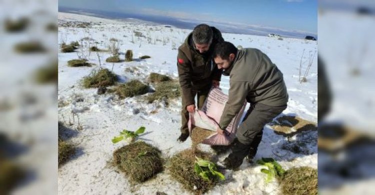 Karacadağ’ta yaban hayvanları unutulmadı