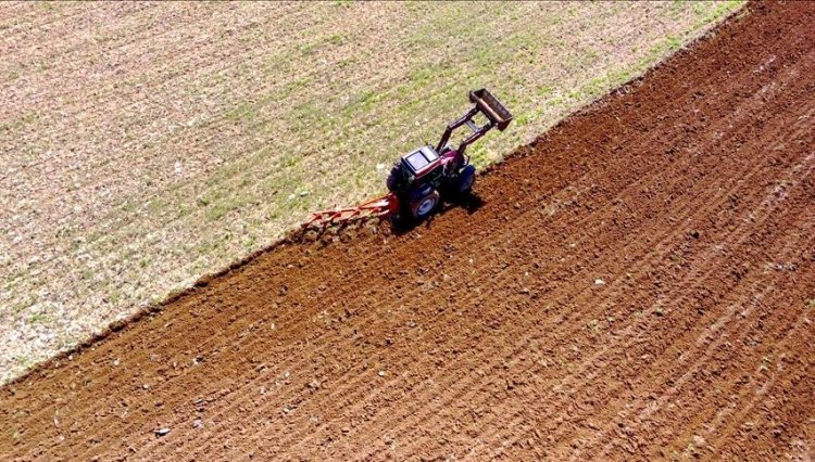 Devlet destekli tarım sigortalarında toplam sigorta bedeli yüzde 115,5 arttı