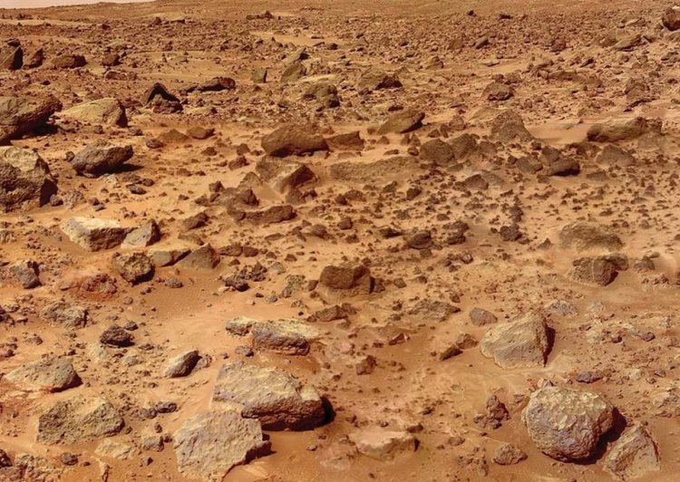 Mars’ta hayatta kalabiliyor! İnsan yaşamını başlatabilir