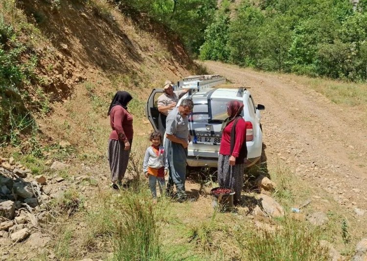 İklim değişikliği Toros Dağları’nı da etkiledi! Kiraz hasadı 1 ay erken tamamlandı