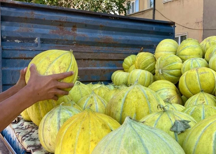 Herkes ona “10 dilim” diyor! Pazarda gören almadan dönmüyor: 1 dilimi bile kabızlığı engelliyor