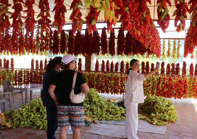 İplere dizilmeye başlandı! Turistlerin ilgisini çekiyor