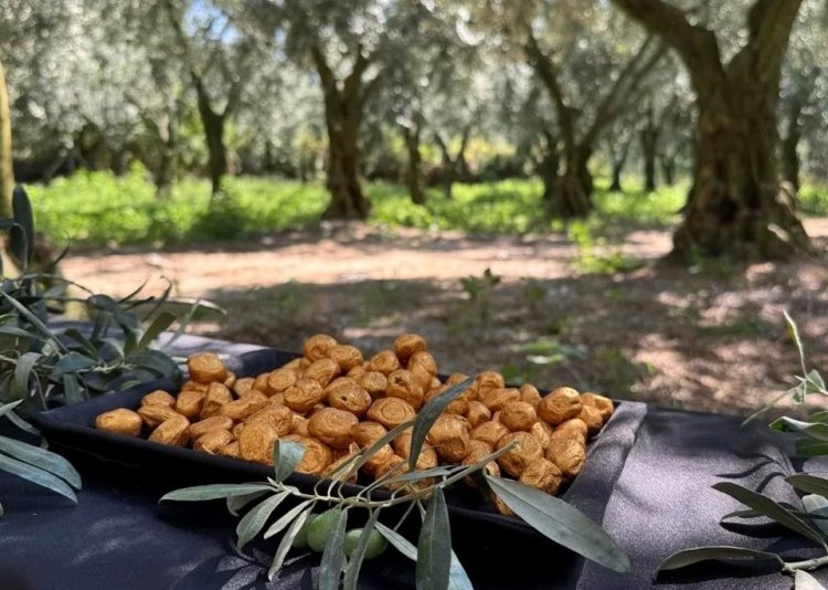 Altın kaplamalı zeytin görenleri şaşırtıyor! Bir kutusunun fiyatı dudak uçuklatıyor