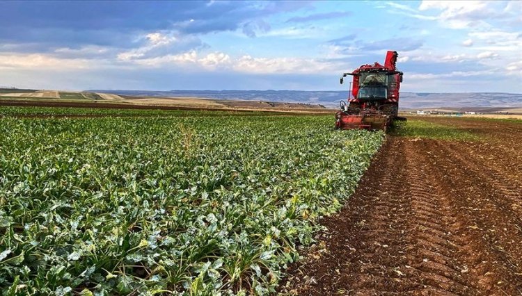 Çiftçilere 185,8 milyon liralık tarımsal destekleme ödemesi yapıldı