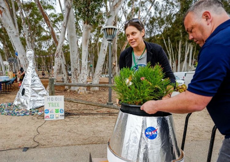 NASA’nın “Ay Ağacı” Kaliforniya’da yeni yuvasına kavuştu