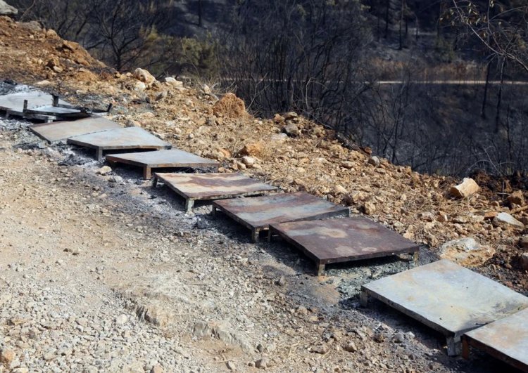 Menteşe’de çıkan orman yangınında 120 arı kovanı zarar gördü