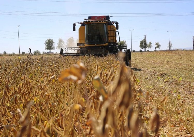 Diyarbakır’da soya ekim alanı üçe katlandı